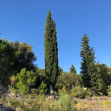Filipovic Šibenik