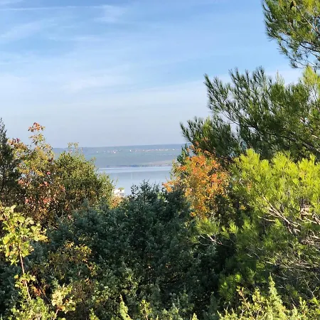 Apartment Filipovic Sibenik
